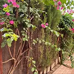 Arruzafa Κόρδοβα