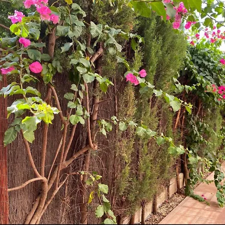 Arruzafa Κόρδοβα