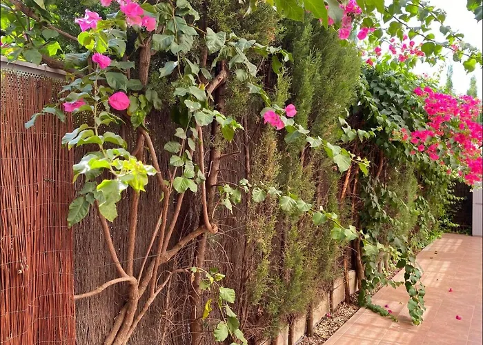 Arruzafa * 科爾多瓦